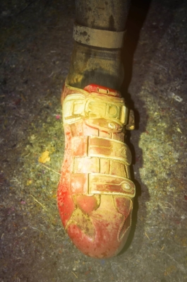 Phillip Zwanzig, +49 (0)178 7161726, mail@phillipzwanzig.de