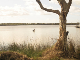 Noka Ovi Maps. Eine Fahrradreise von Perth nach Melbourne. © 20