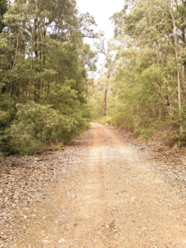 Noka Ovi Maps. Eine Fahrradreise von Perth nach Melbourne. © 20