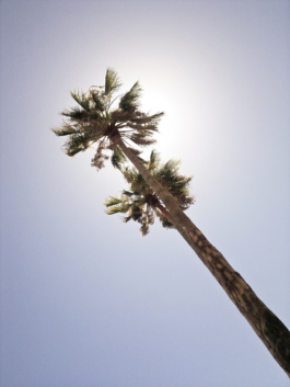 Noka Ovi Maps. Eine Fahrradreise von Perth nach Melbourne. © 20