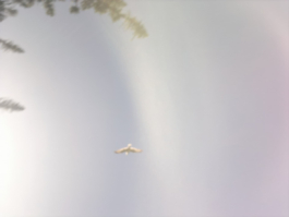 Noka Ovi Maps. Eine Fahrradreise von Perth nach Melbourne. © 20