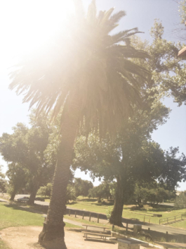 Noka Ovi Maps. Eine Fahrradreise von Perth nach Melbourne. © 20